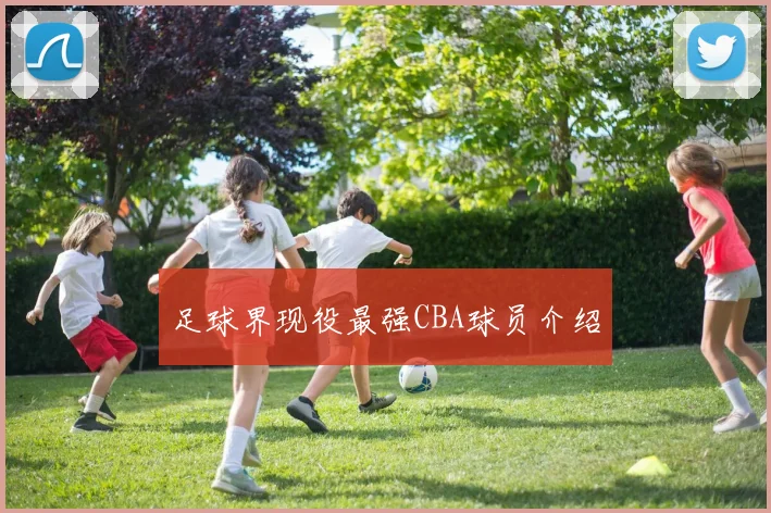 足球界现役最强CBA球员介绍