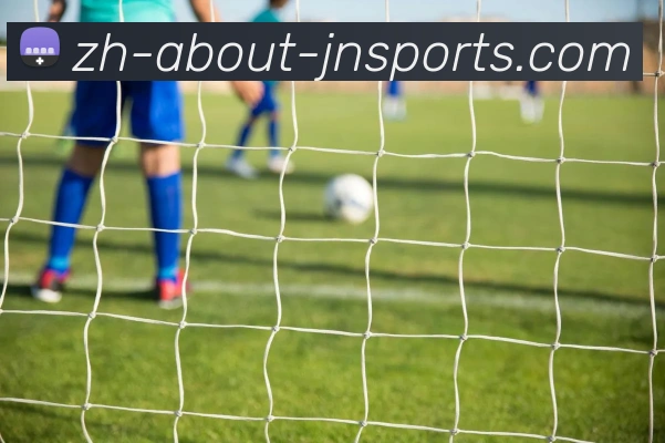 西甲联赛球票改期：西甲球票改签政策与流程说明